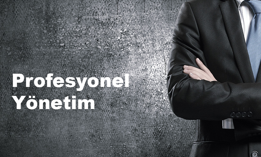 Profesyonel Bina ve Site Yönetimi